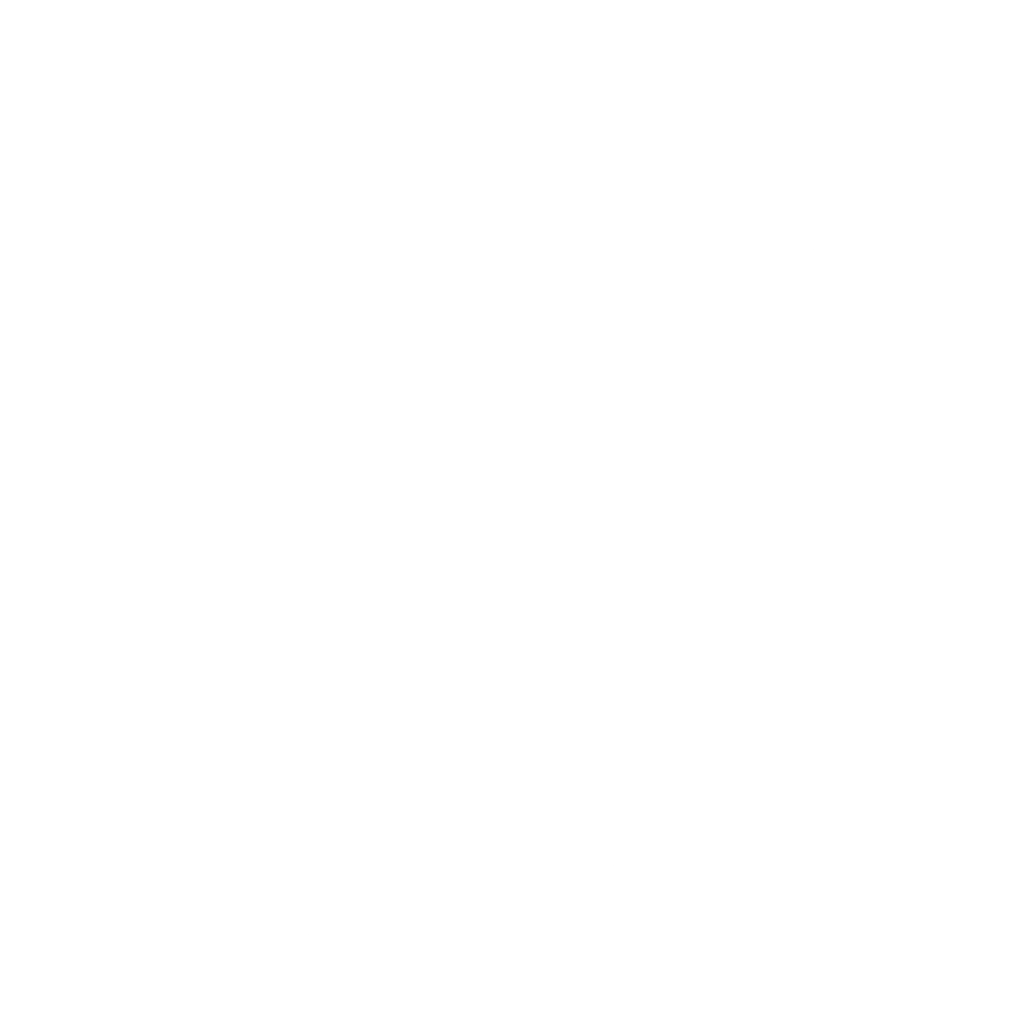 ריק